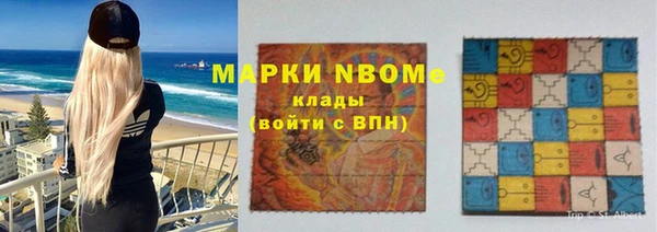хмурый Белокуриха