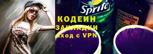 индика Богородицк