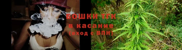 хмурый Белокуриха