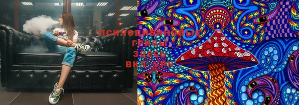 индика Богородицк