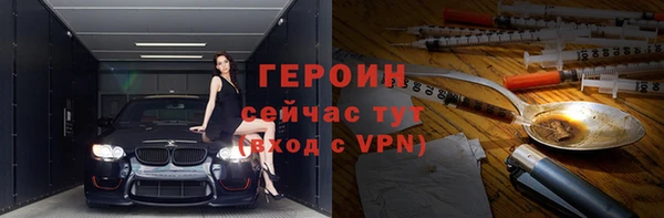 индика Богородицк