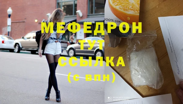 индика Богородицк