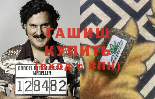 индика Богородицк