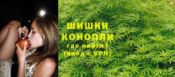 индика Богородицк